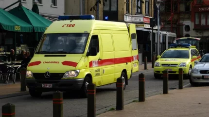 Әйелдің үстіне 20 метрлік шырша құлап, қаза тапты