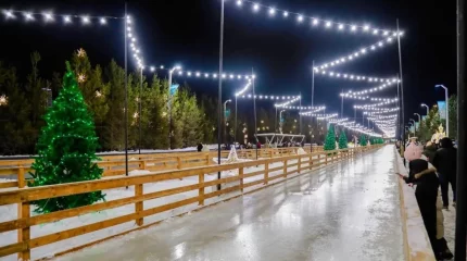 Жаңа жыл тойланбауы мүмкін