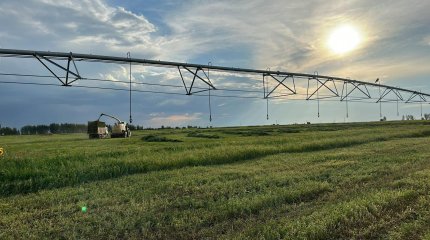 4,6 млн га неиспользуемых земель вернули в 2023 году в Казахстане