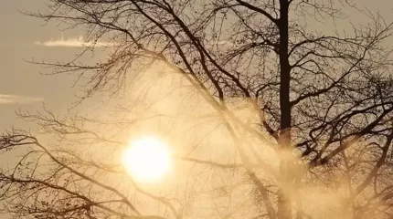 Бүгін ауа райы қандай болады?