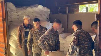 Гумпомощь более чем на 310 млрд тенге хочет оказать Казахстан трем странам