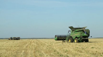 Объем производства в сельском хозяйстве сократился более чем на 8%