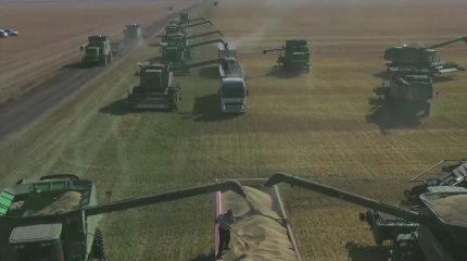 Более трёх миллионов тонн зерна собрали аграрии Акмолинской области в 2023 году