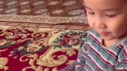 Қазақ зиялыларын жатқа білетін шымкенттік 3 жасар бүлдіршін көпті сүйсіндірді