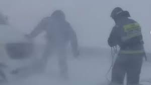 Пропавшую бабушку с внучкой нашли мертвыми в Костанайской области.