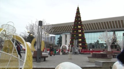 Қазақстандық шыршалар ТМД -дағы ең биік шыршалардың ондығына енді