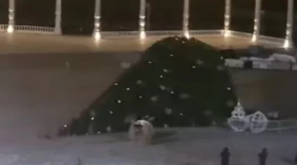 Ақтауда қатты желден жаңа жылдық шырша құлап қалды