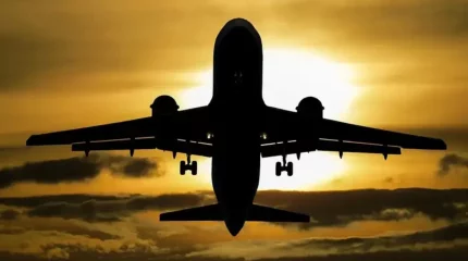 Парижде ұшақтың шасси бөлігіне тығылып қалған мигрант ауыр халде табылды