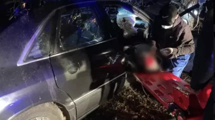 Жетісу облысында жолға шауып шыққан жылқы кісі өліміне себеп болды