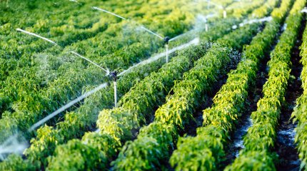 С 1 января 2024 года зарплату работников водного хозяйства поднимут на 25%