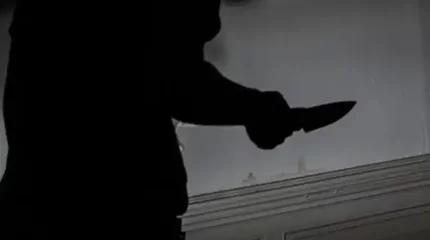 Петропавлда шенеунік зейнеткер әйелді аса қатыгездікпен өлтірді