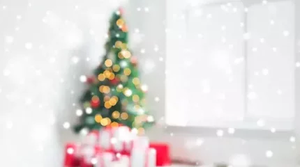 Петропавлда алаяқтар шын мәнінде жоқ шыршаны сатқан