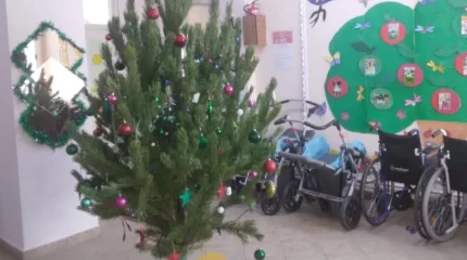 Қостанайда балалар үйіне сыйға тартылған шыршаны қызметкер үйіне алып кеткен