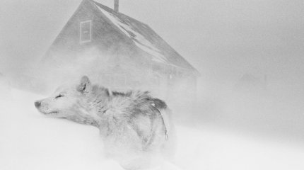 В новогодние сутки штормовое предупреждение объявили в 14 регионах Казахстана