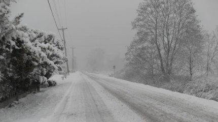 Супруги заблудились во время метели в Акмолинской области