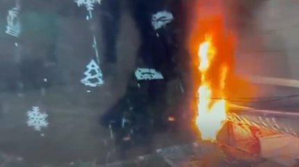 Видео поджога елки в Таразе появилось в сети