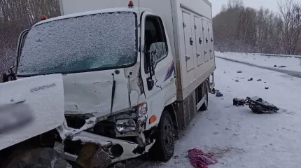 ШҚО-да жол апатынан екі адам көз жұмды