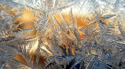 Морозы идут в Казахстан: о погоде на 6-7 декабря рассказали синоптики