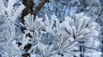 Еліміздің бір мегаполисінде -19 градусқа дейін суық болады деп күтілуде