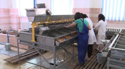 Атырау в лидерах по привлечению инвестиций,- Шапкенов