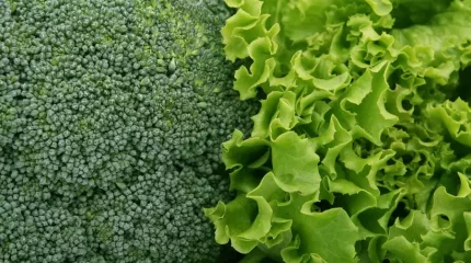 Ғалымдар ішек қатерлі ісігінен қорғайтын өнімдерді атады