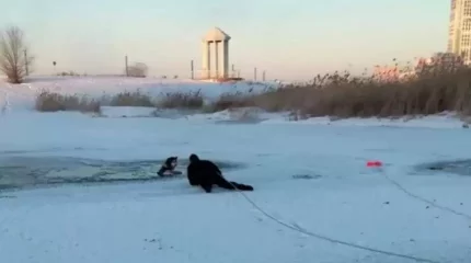 Астанада суға батып бара жатқан әйел мен иті құтқарылды