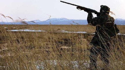 БҚО полицейлері автокөлік салонынан еліктің еті мен аңшы мылтықтарын тапты