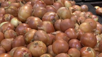 Алматыда пияз бағасы жарты жылда 300% өскен