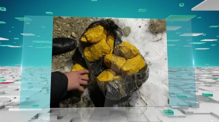 Распространяли синтетические наркотики: КНБ ликвидировал наркосиндикат