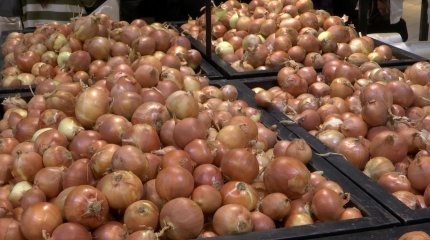 Цена на лук в Алматы за полгода выросла на 300%, - члены партии «AMANAT»
