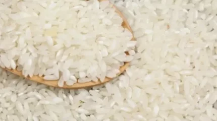 Қызылорда облысында күріш өндірушілерге қатысты тергеу басталды