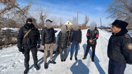 Алматы облысында кісі өлтіруге қатысы бар төрт күдікті ұсталды
