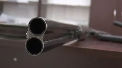 Алматы облысында жасырулы қару-жарақ табылды