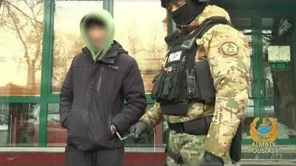 Алматыда ерлі-зайыптылар жаңа туған сәбиін 2 млн теңгеге сатпақ болды деген күдікпен ұсталды