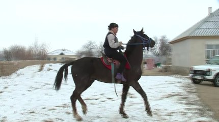 Түркістандық көпбалалы ана аттың құлағында ойнайды