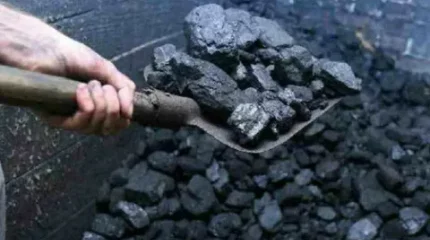 Түркістан облысында 5 мектеп көмірсіз қалған