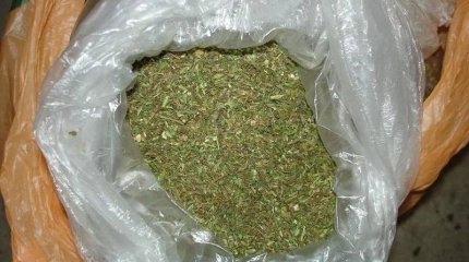 Почти 2 кг марихуаны хранил житель Усть-Каменогорска  в кровати