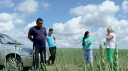 Пять лет тюрьмы: участкового приговорили за бездействие в СКО