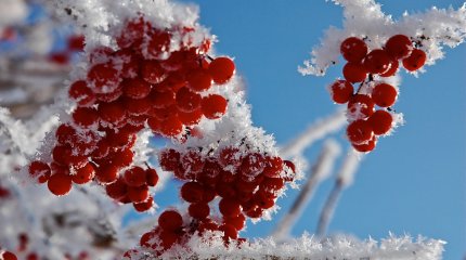 Какая погода ожидает казахстанцев 3 февраля