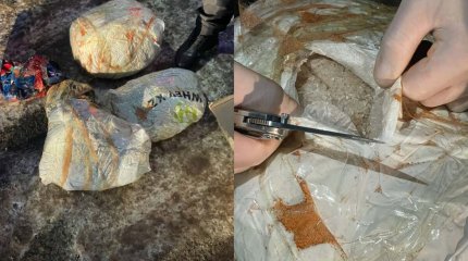 Елордада синтетикалық есірткі жеткізудің ірі арнасы жойылды