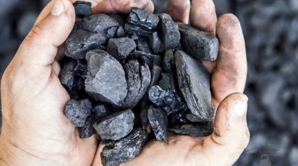 Уголь по 10 тысяч за килограмм хотели закупить чиновники от здравоохранения СКО