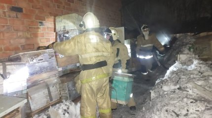 Пожарные ВКО спасли от огня более миллиона пчел