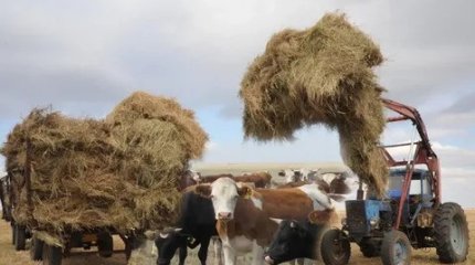 Қазақстандық шаруалар 17,1 млрд теңге субсидия алуға өтініш берді