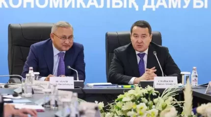 Жетісуда әлі 857 мың гектар ауыл шаруашылығы жері пайдаланылмайды – Премьер-Министр