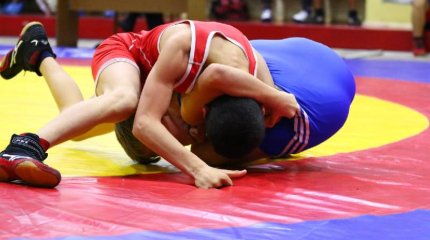 Египеттегі турнирдің үшінші күні қазақстандық екі балуан жүлделі болды