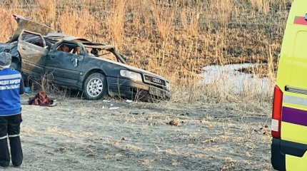 Смертельное ДТП произошло на трассе в области Жетысу