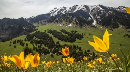 Қазақстандағы туристер арасында ең танымал 5 көрікті жер