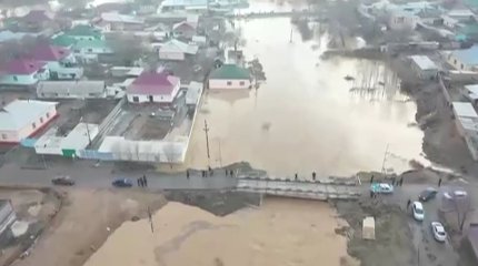 Паводки в Туркестанской области: погиб скот, затоплены дома и сараи