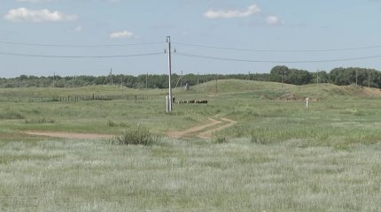 400 тысяч гектаров неиспользуемых земель вернули в Павлодарской области