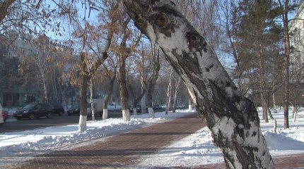 Затяжную зиму обещают синоптики в Казахстане